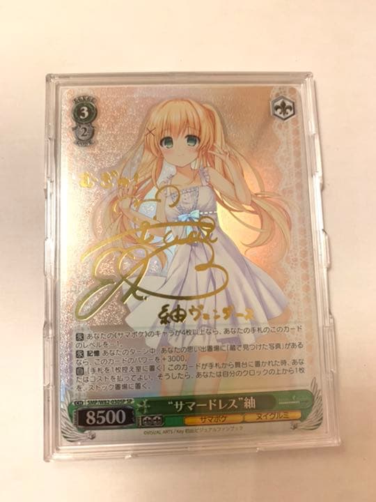 ヴァイスシュヴァルツ SP サイン　サマードレス紬