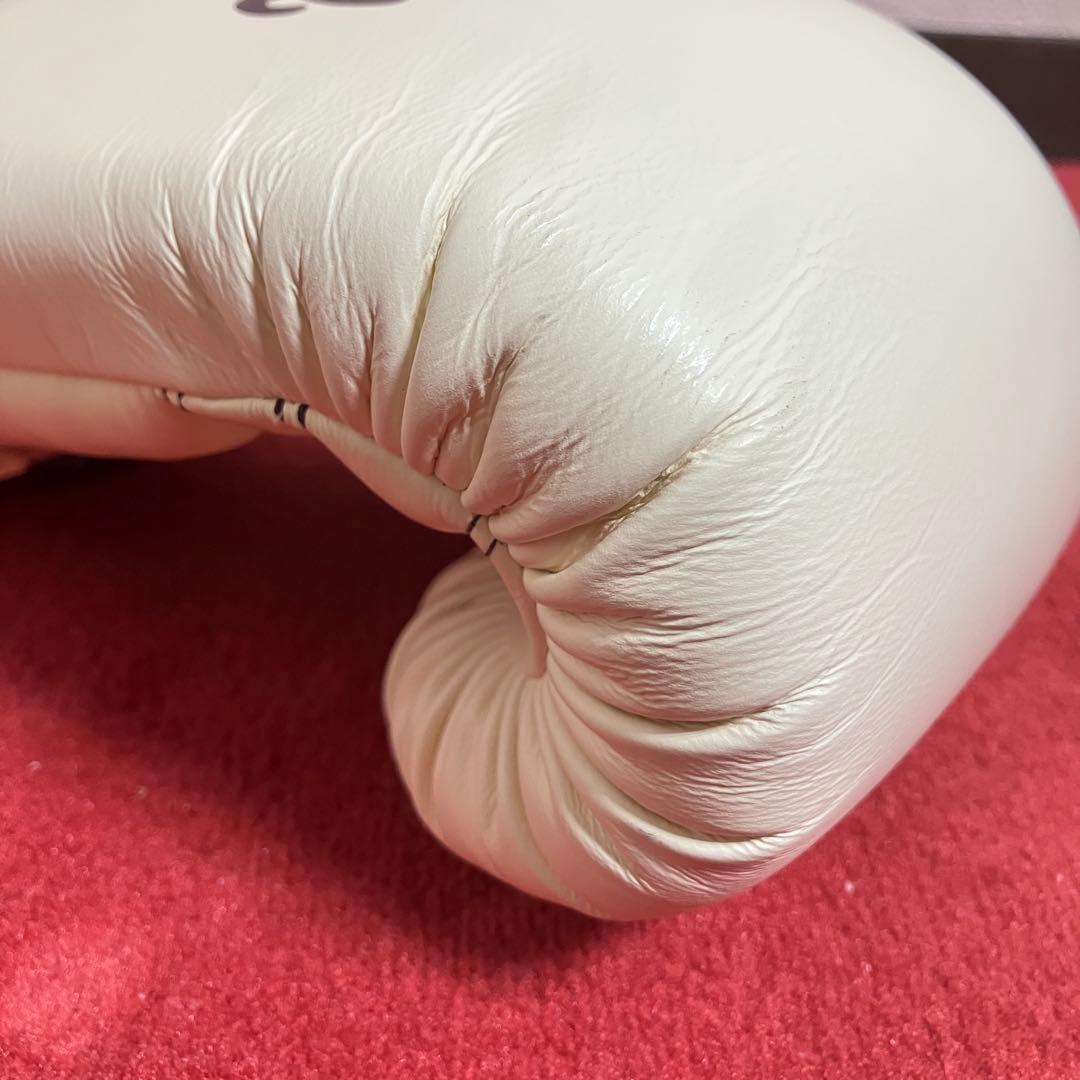 フェアテックス Fairtex グローブ 14 oz ホワイト