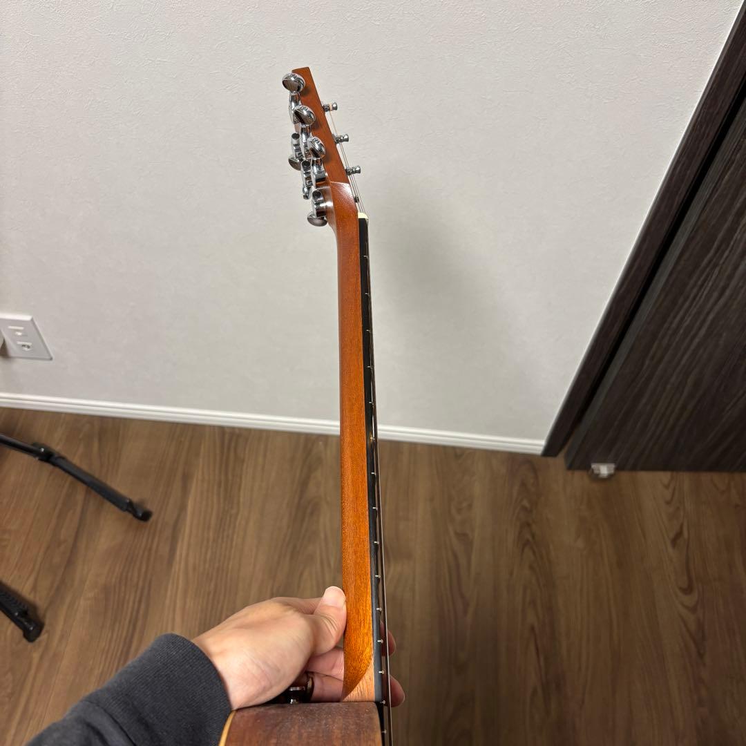 Taylor Baby Taylor-e Koa レフティ　左利き