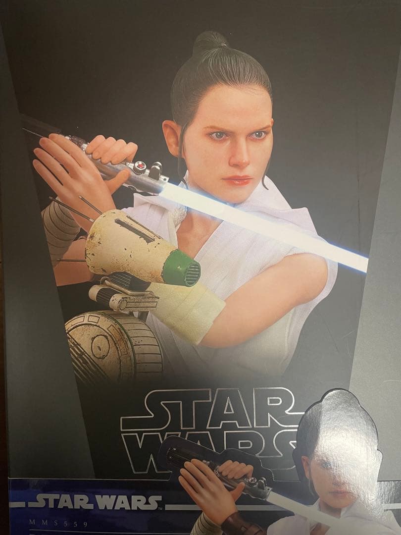 ホットトイズ　レイ