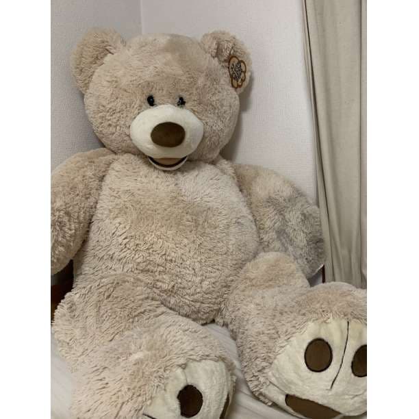コストコ Costco　くま  熊 クマ くまさん ぬいぐるみ bear