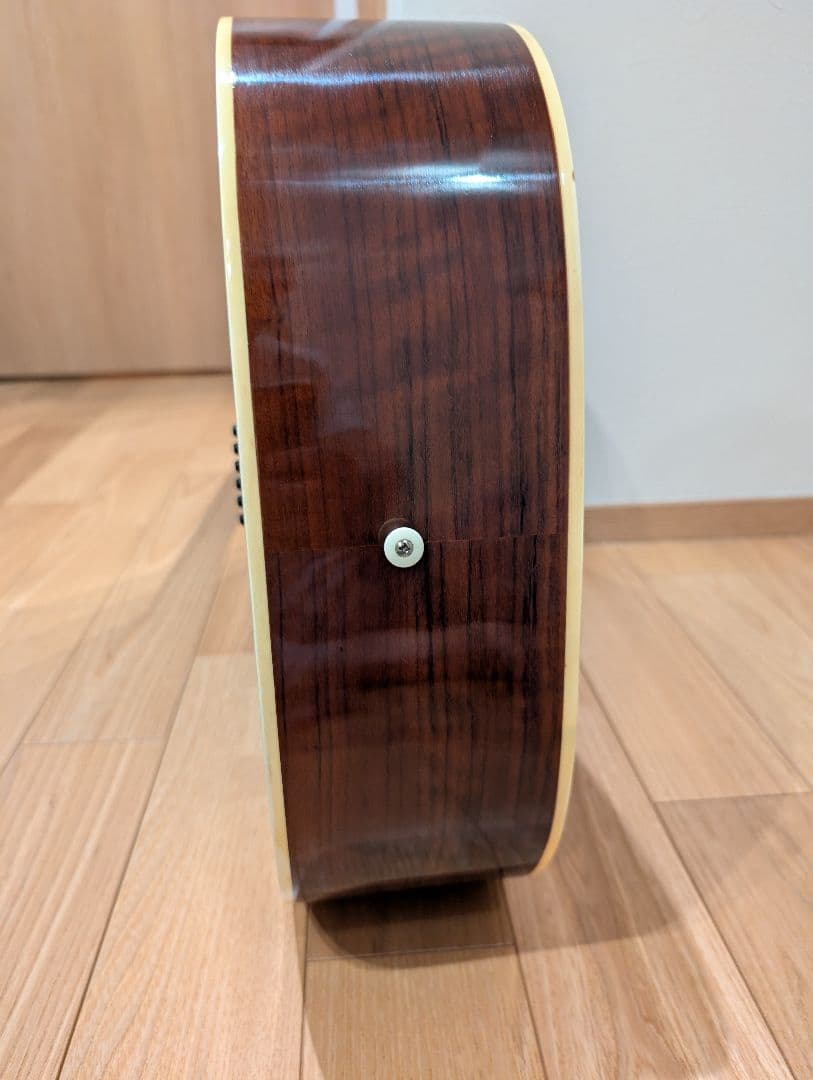 TAKEHARU GUITAR FT-150 鈴木バイオリン製