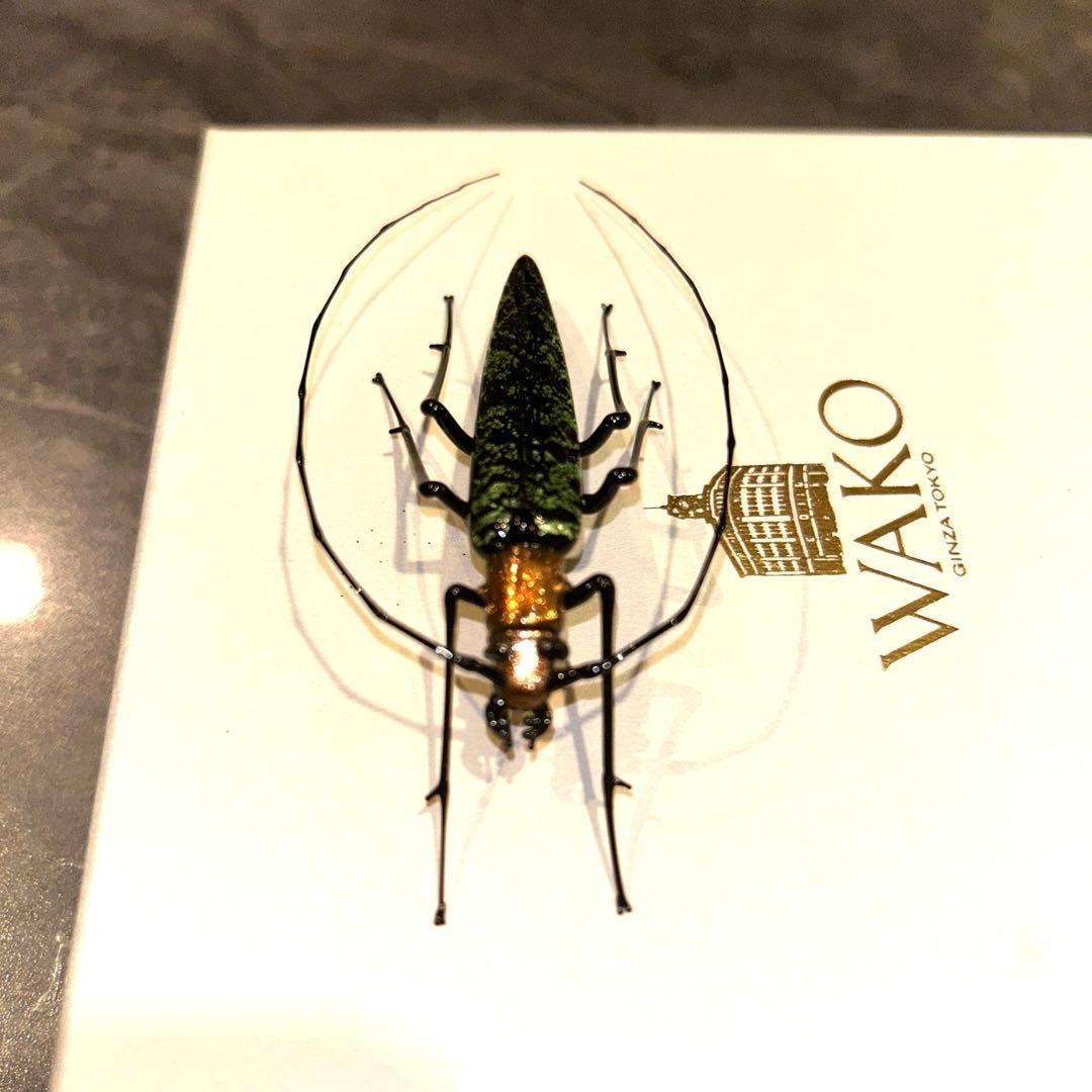 ベネチアングラス　カミキリムシ