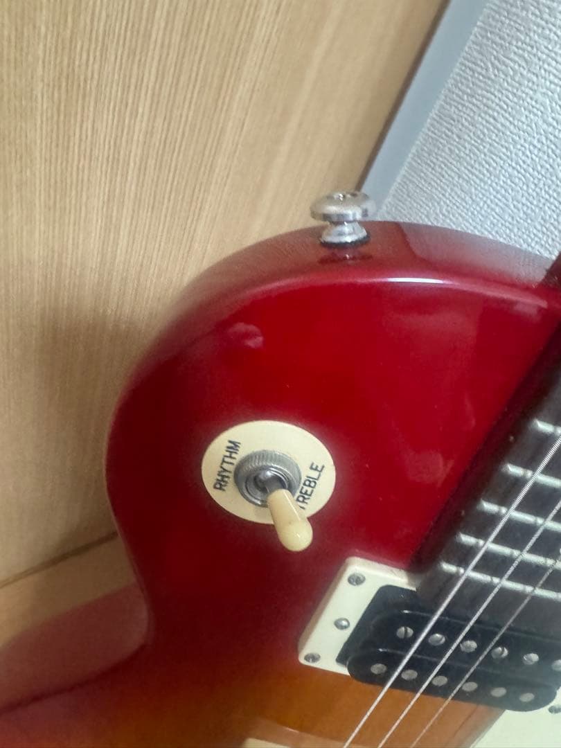 エピフォン　Epiphone レスポール100 LP-100 エレキギター