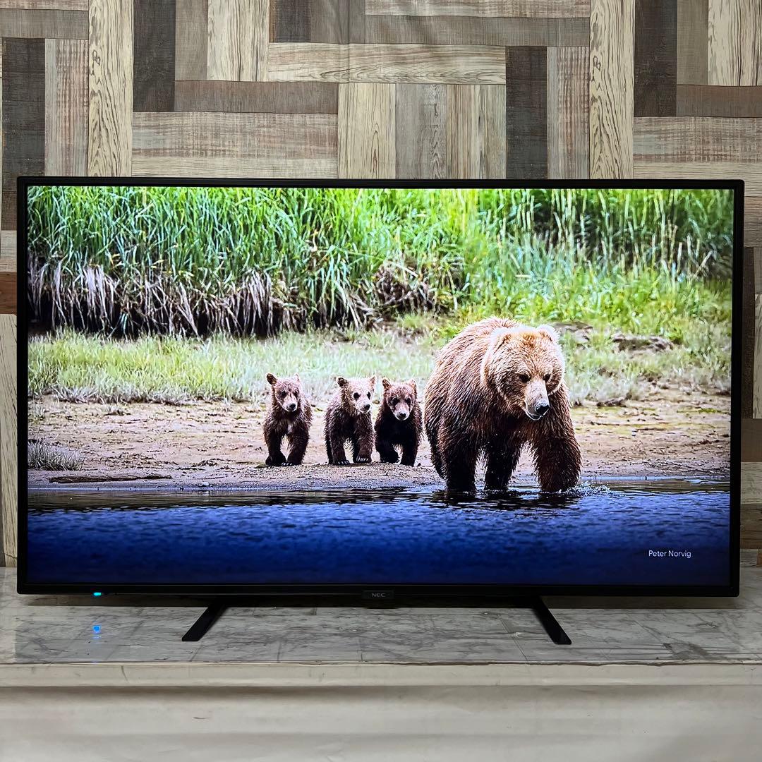 しまさん専用全国送料込。去年購入。耐久性抜群NEC49型4Kモニタースピーカー付