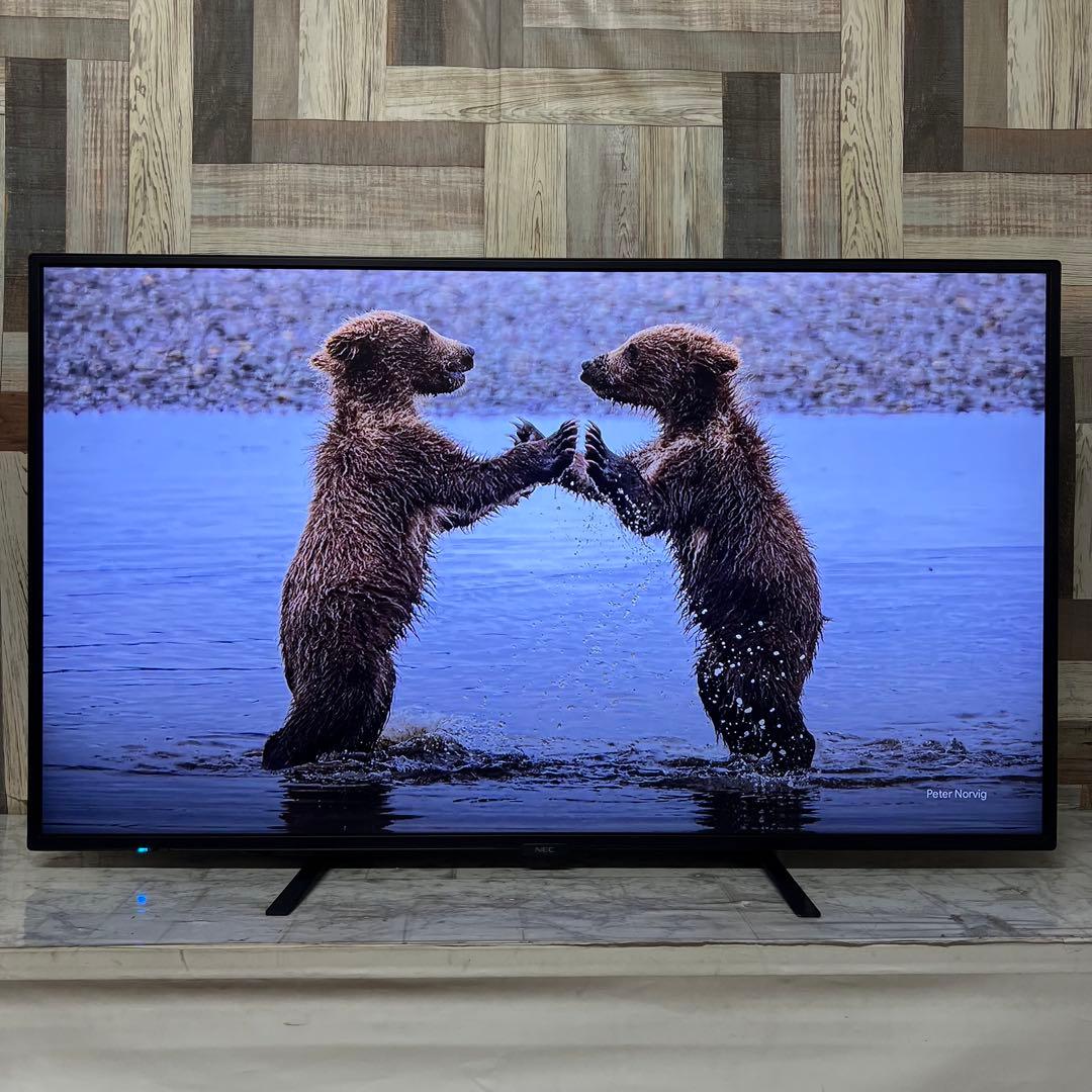 しまさん専用全国送料込。去年購入。耐久性抜群NEC49型4Kモニタースピーカー付