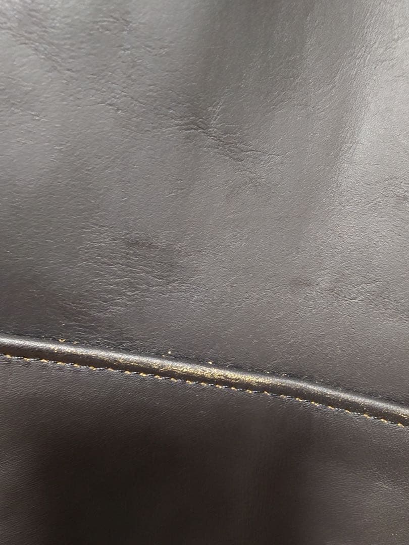 SCHOTT 110周年限定 シングルライダース 36 659US 新品ショット