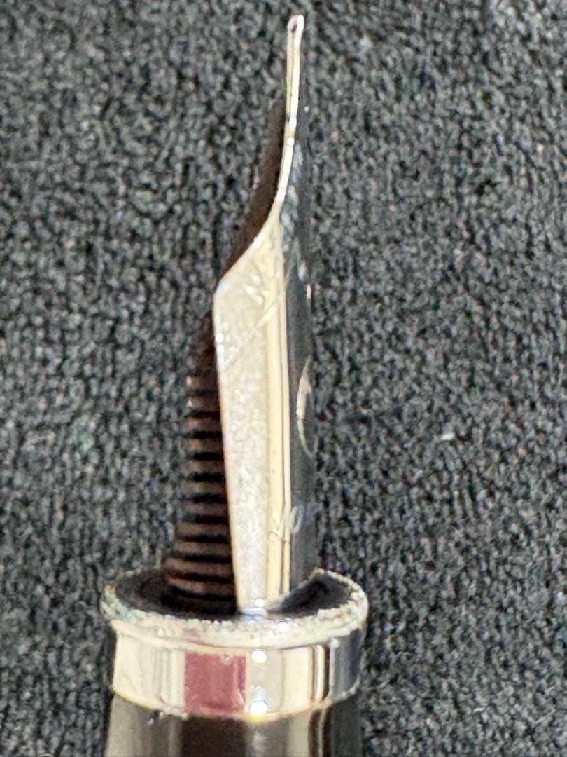 MONTEVERDE プリマ グリーンスワール F