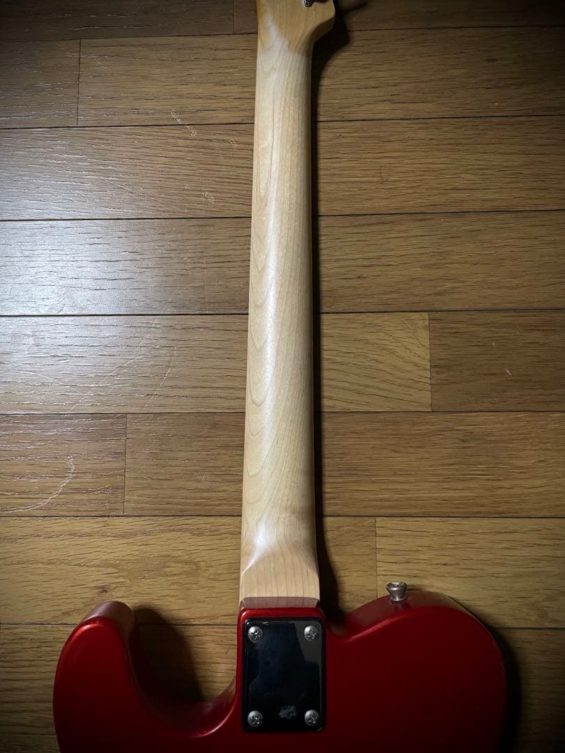 Bacchus バッカス　テレキャスター　THEMODS 森山達也