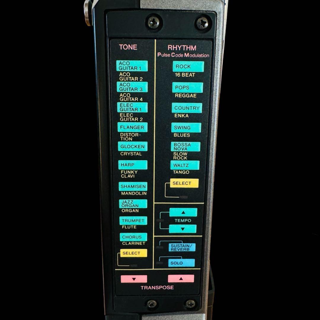 CASIO カシオ　DG-20 デジタル電子ギター　シルバー