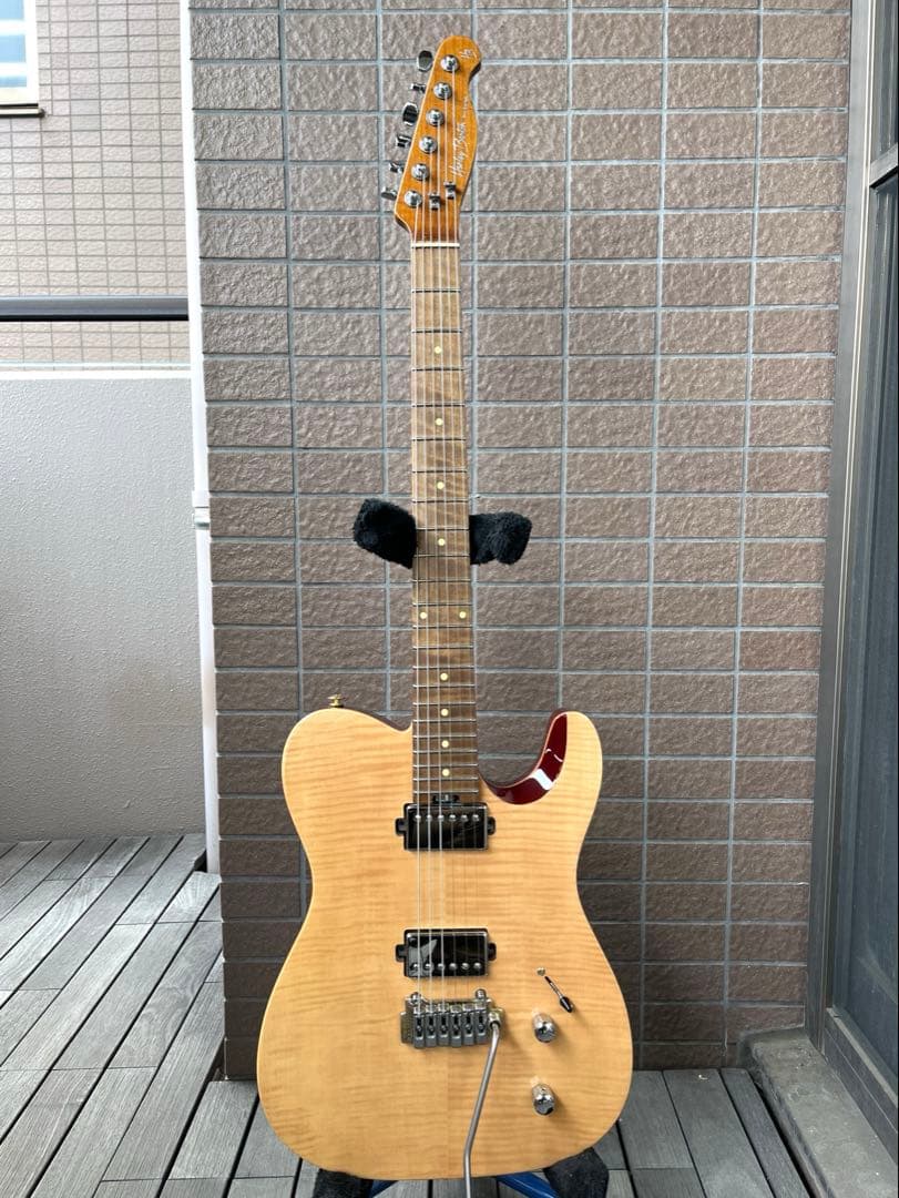 【動作◯】 Harley Benton Pro Series テレキャス
