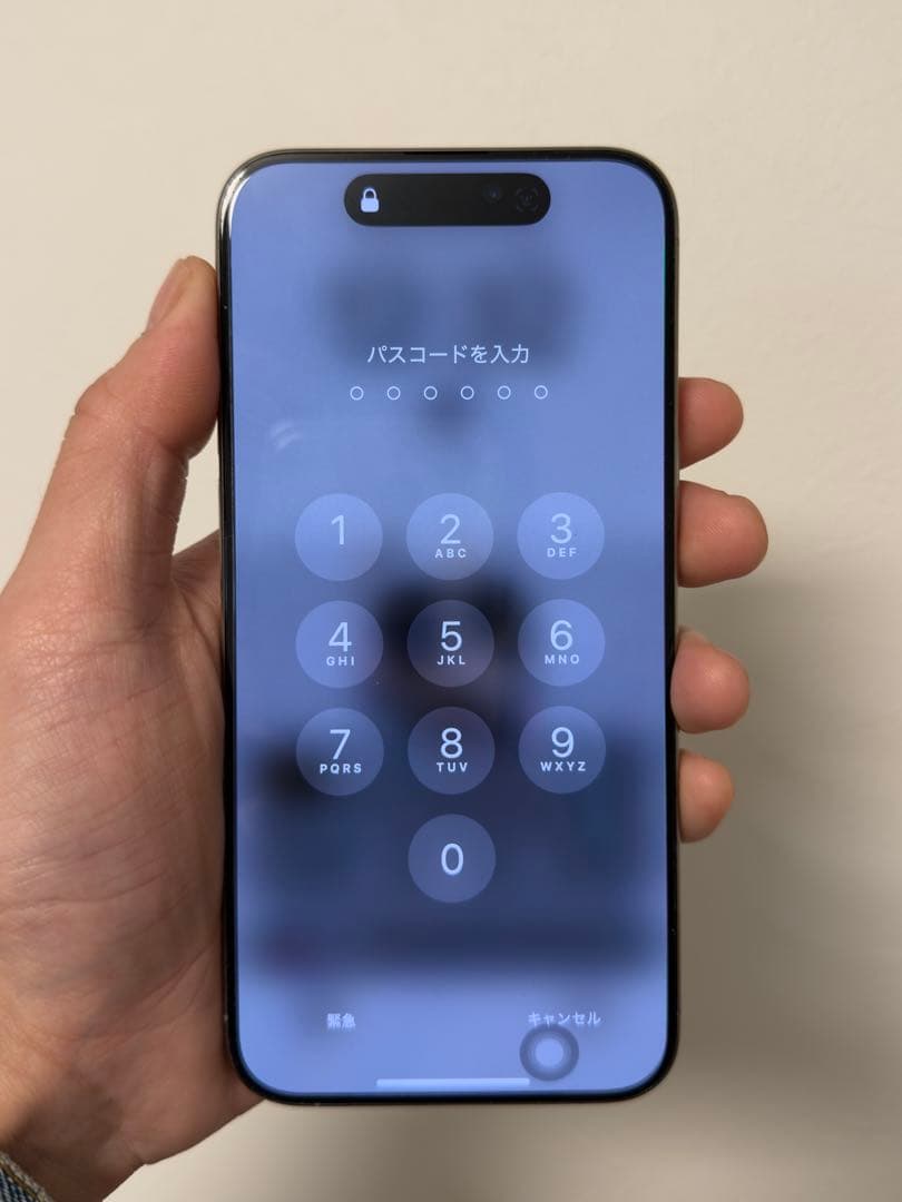 【元気】訳あり 海外 Apple iPhone 15 Pro Max 本体