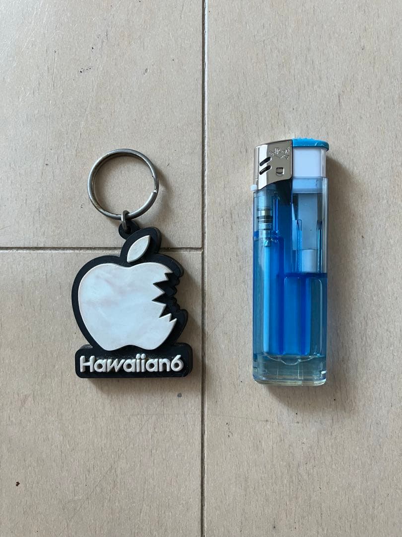 Hawaiian6 キーホルダー ピザオブデス