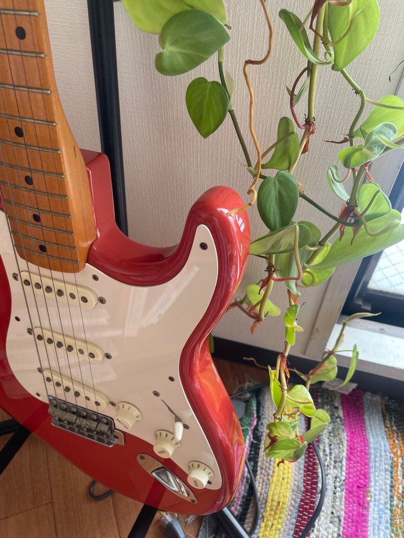 も*ょ様 Fender Mexico STRATOCASTER