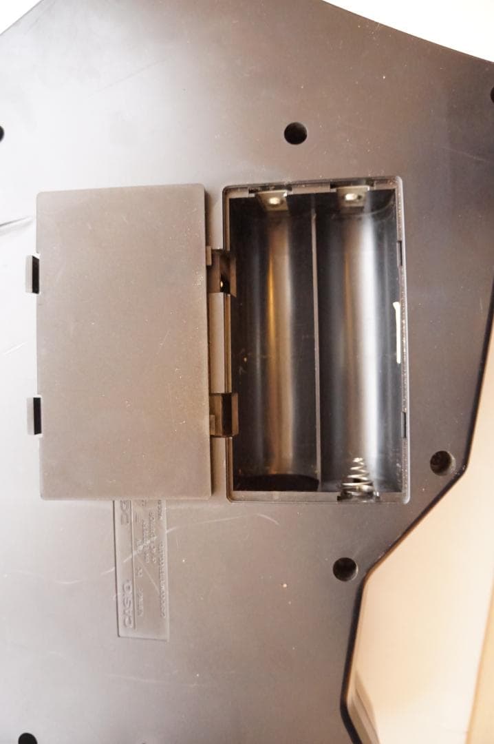 ギター CASIO dg-20 digital guitar