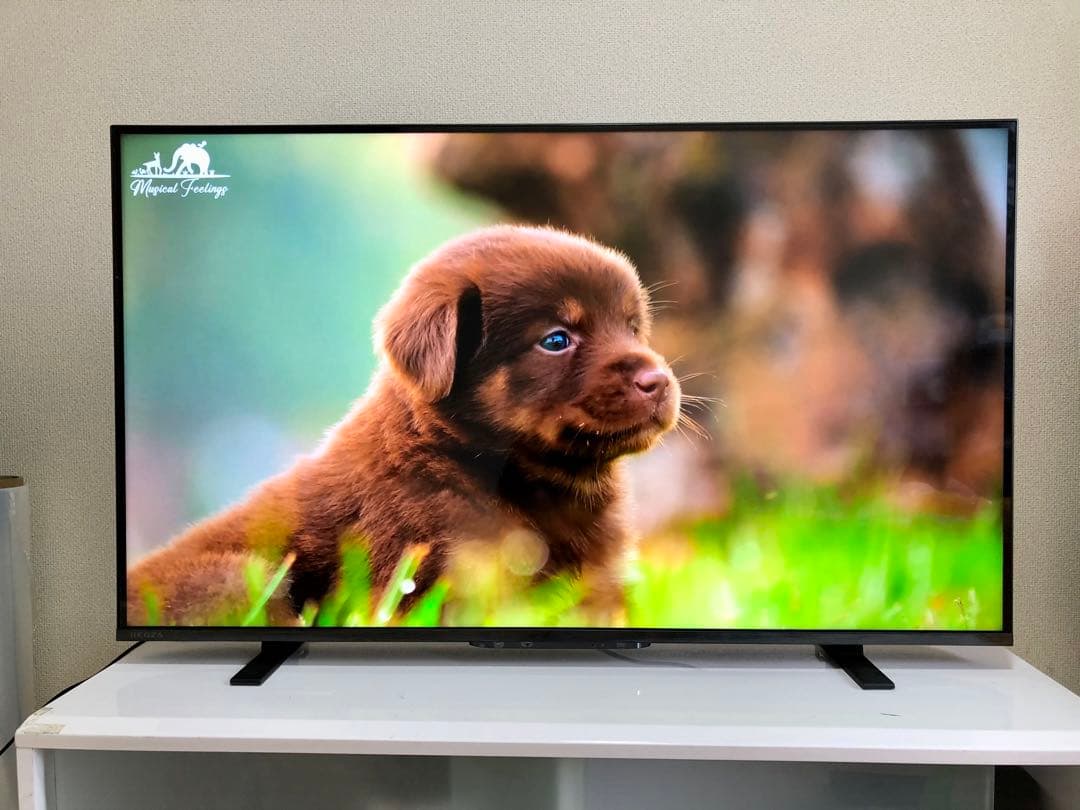 TOSHIBA 43V型 液晶テレビ REGZA 43M550L2024年製