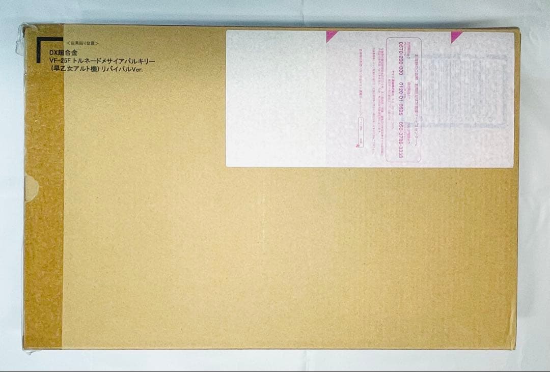 DX超合金 VF-25F トルネードメサイアバルキリー （早乙女アルト機）