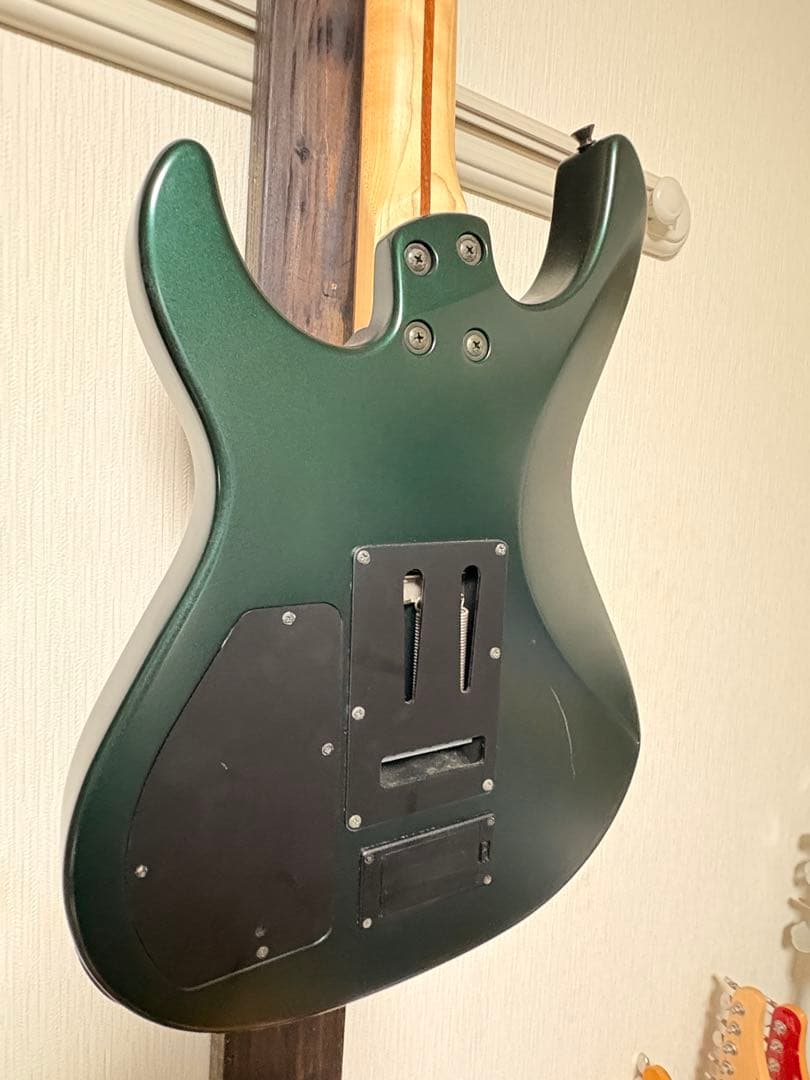 FERNANDES エレキギター サスティナー搭載モデル