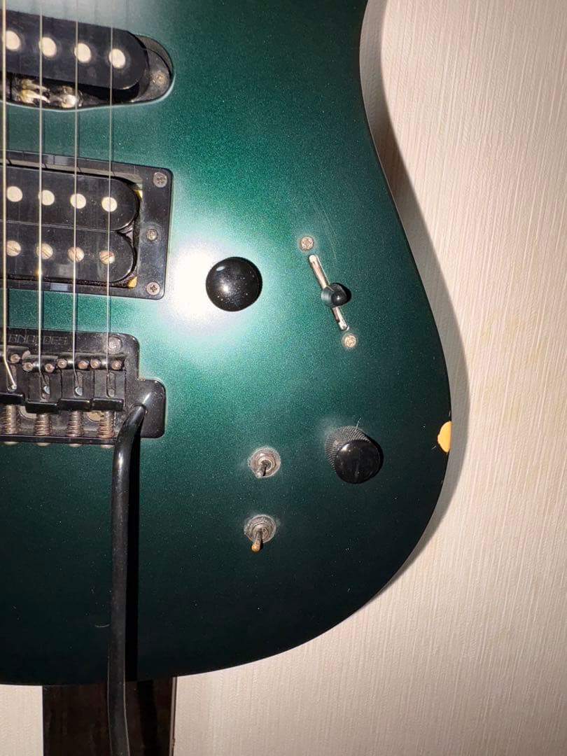 FERNANDES エレキギター サスティナー搭載モデル