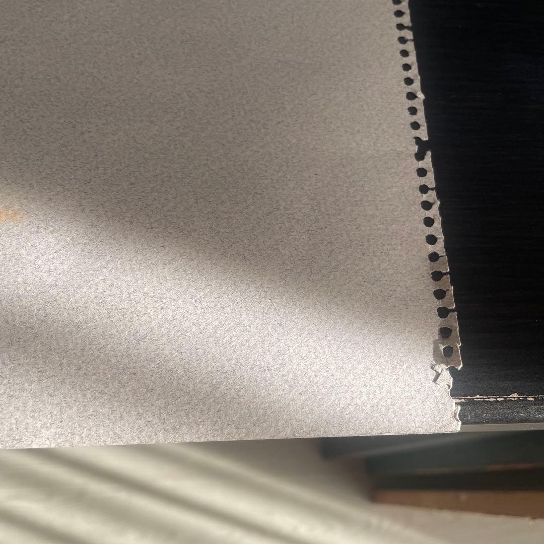 パステル画/色褪せない花束の贈り物/癒し/ヒーリング/パワースポット/ビバーナム