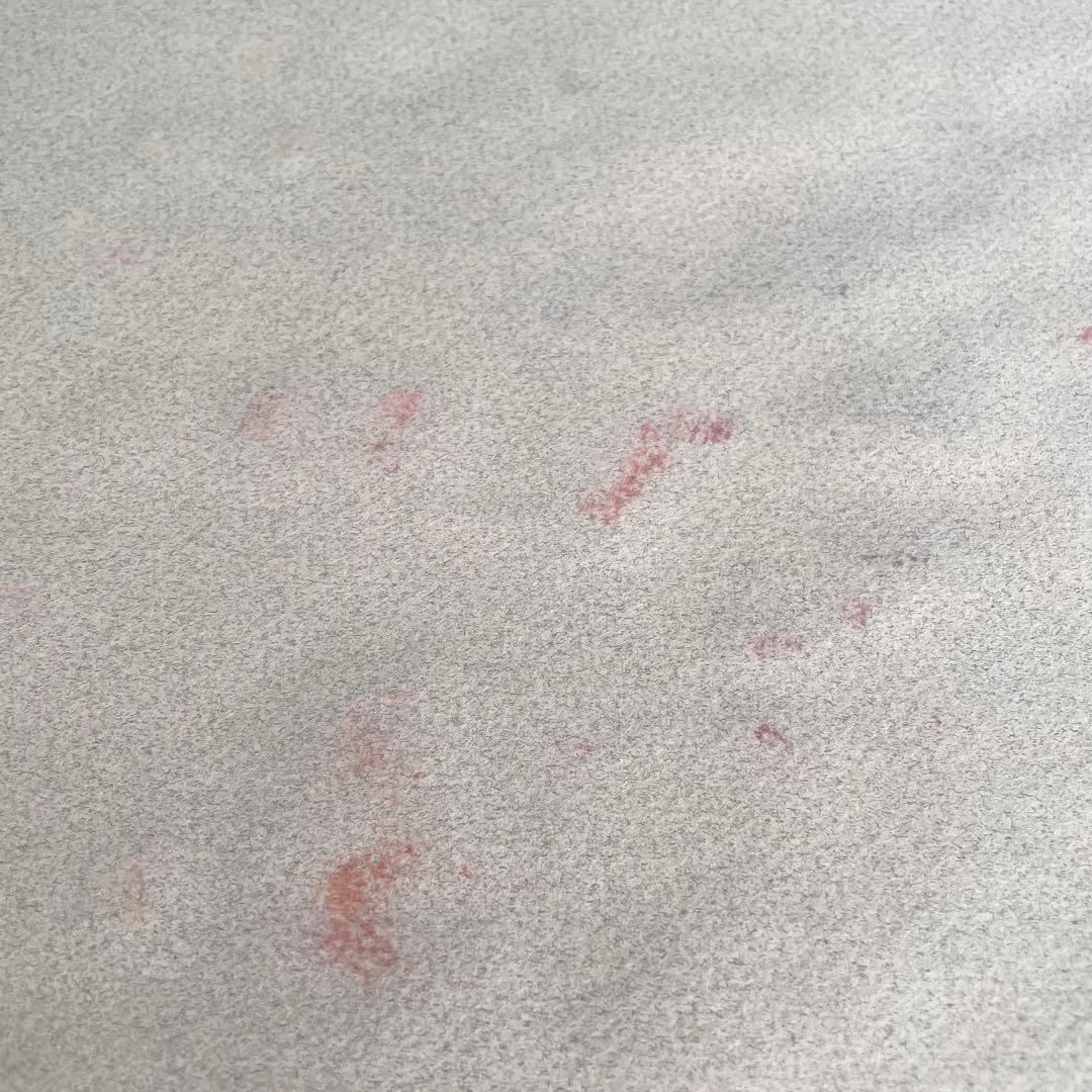 パステル画/色褪せない花束の贈り物/癒し/ヒーリング/パワースポット/ビバーナム