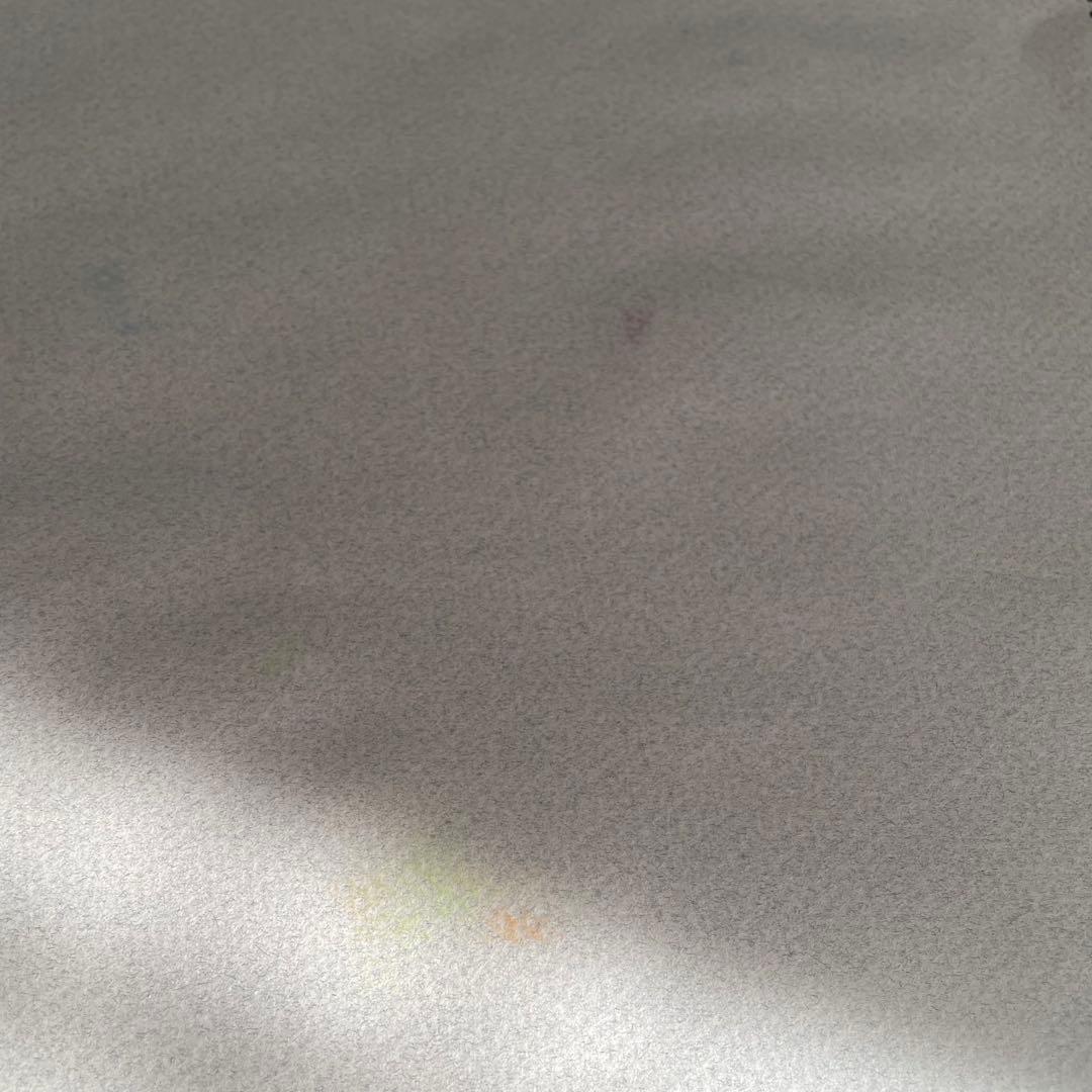 パステル画/色褪せない花束の贈り物/癒し/ヒーリング/パワースポット/ビバーナム