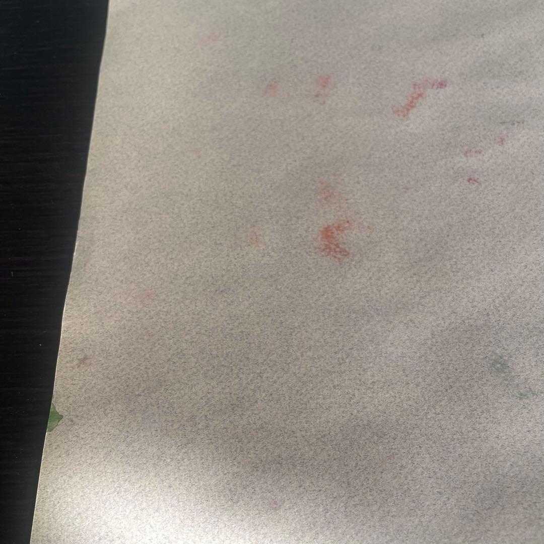 パステル画/色褪せない花束の贈り物/癒し/ヒーリング/パワースポット/ビバーナム