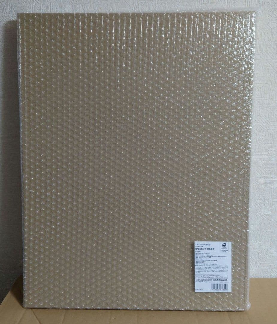 浮世絵木版画『超電磁砲少女 御坂美琴』