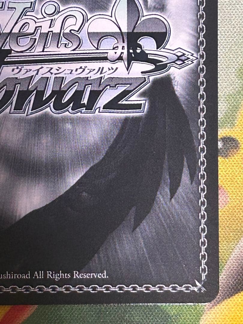 いつまでもどこまでも コッコロ SSP