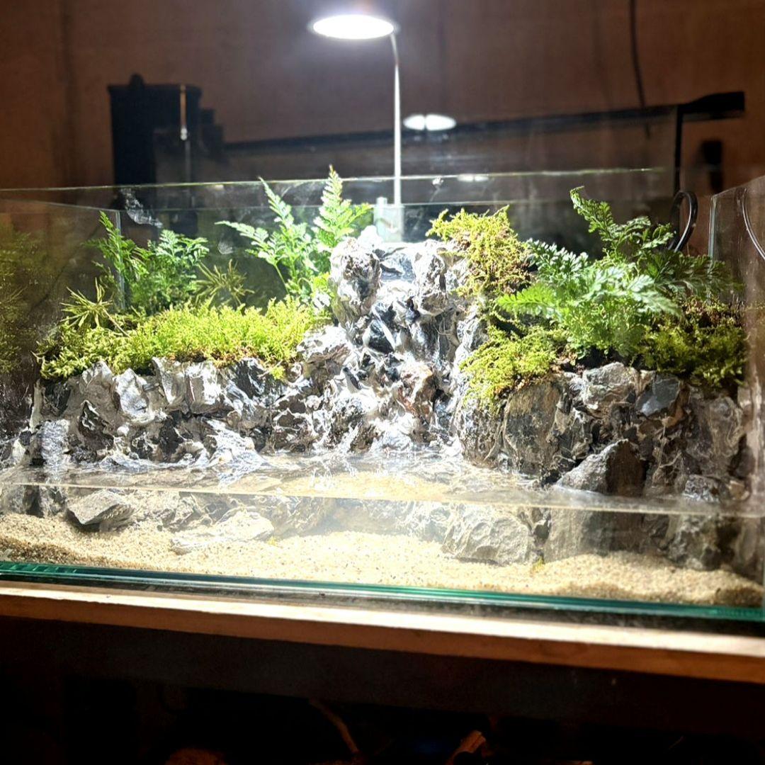 滝の流れるアクアテラリウム　Boo