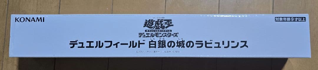 デュエルフィールド 白銀の城のラビュリンス