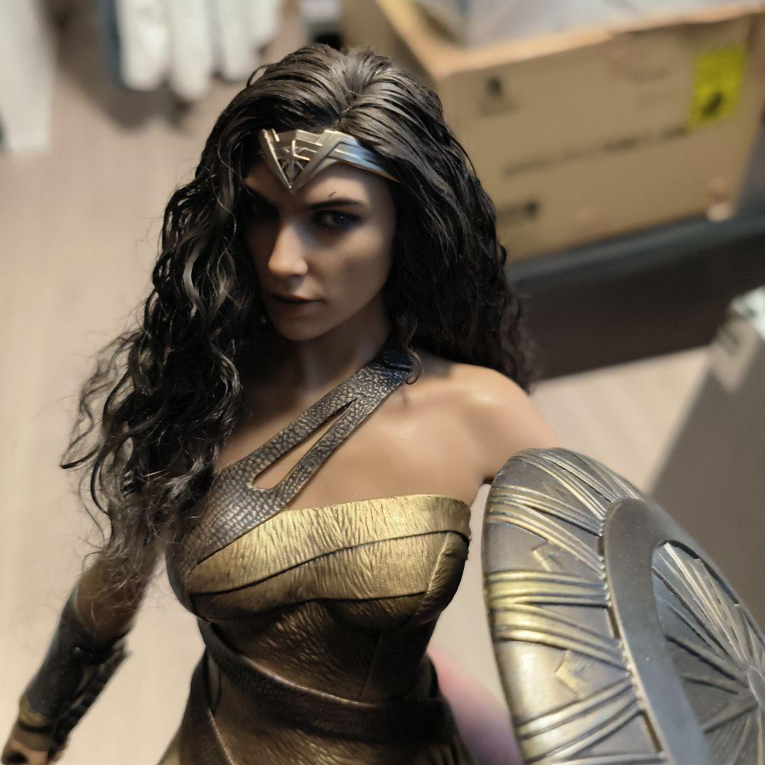 ホットトイズワンダーウーマン 天堂島訓練カスタマイズ