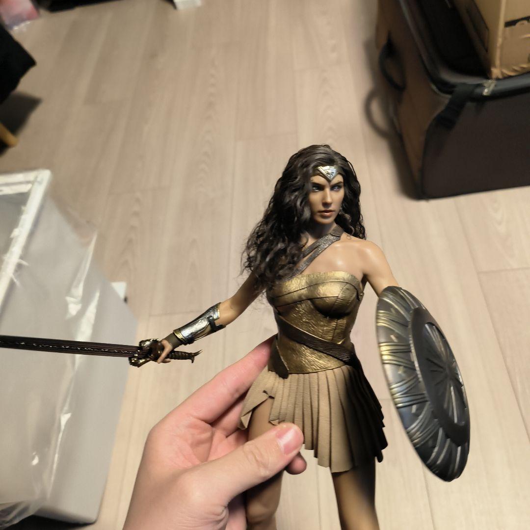 ホットトイズワンダーウーマン 天堂島訓練カスタマイズ