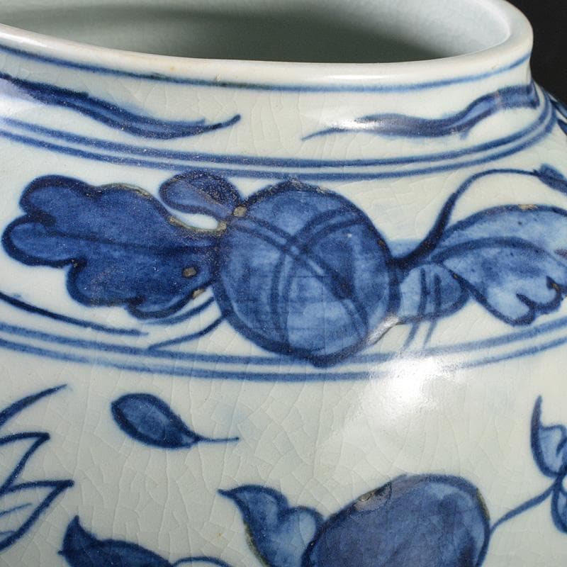 中国　青花　花卉魚波文瓶　壷　N　R5755