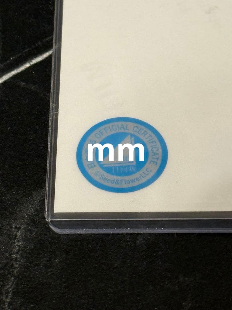 日向坂46 「HAPPY TRAIN TOUR 2023」サンタ衣装 小坂菜緒