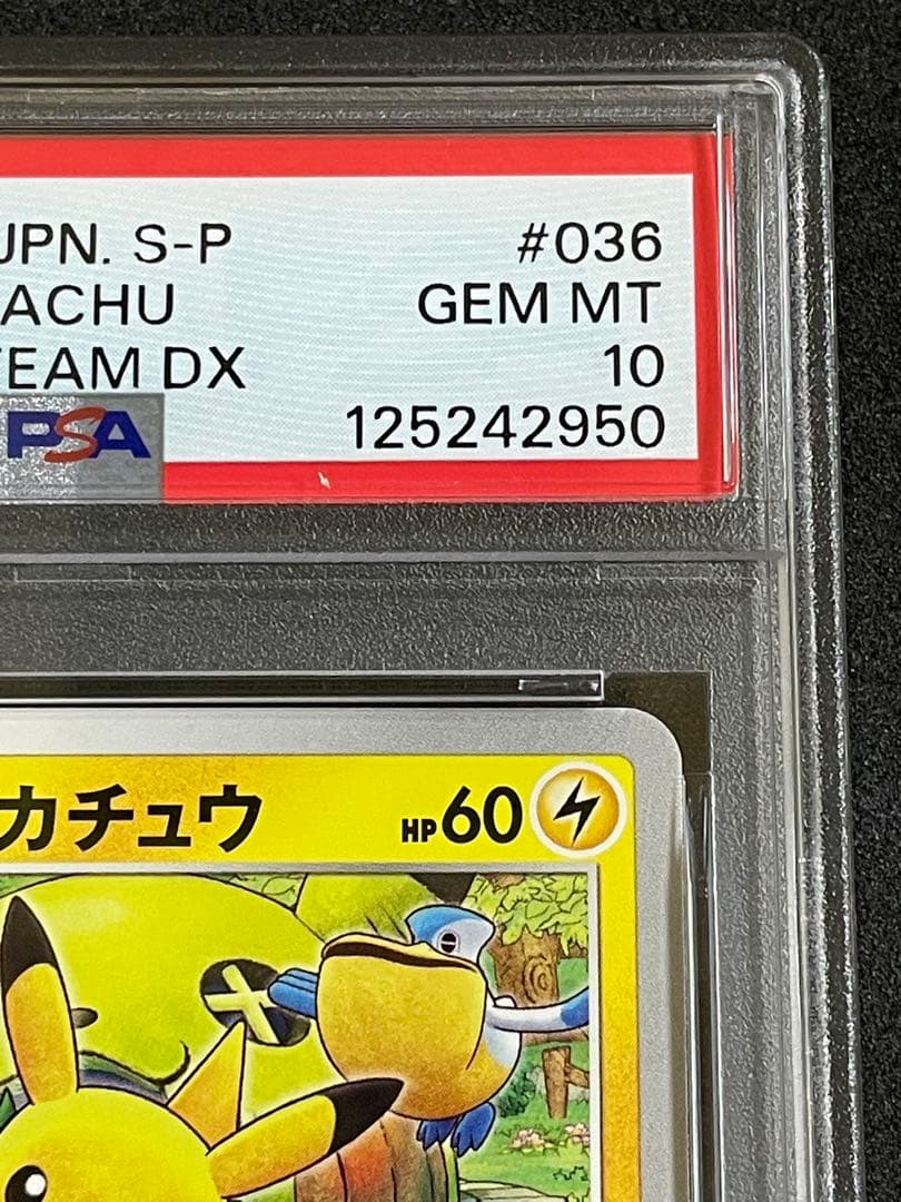 救助隊DXのピカチュウ　PSA10