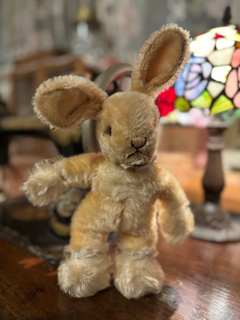 シュタイフBaby Rabbit sassy