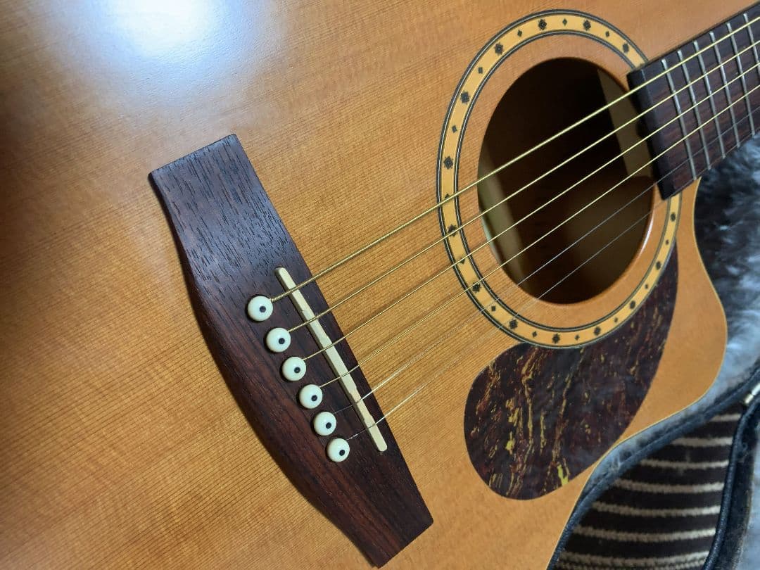 ■Simon&Patrick MODEL-29150+純正ハードケース