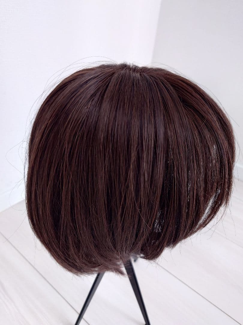 アクアドール　ヴィーナス　フルウィッグ　医療用　人毛MIX