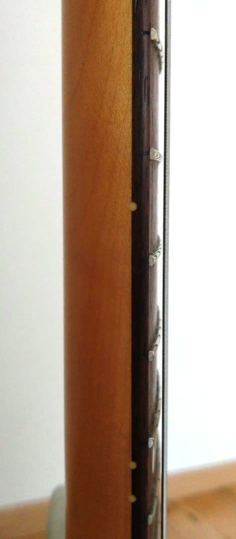 ギター Coolz ZTL-V