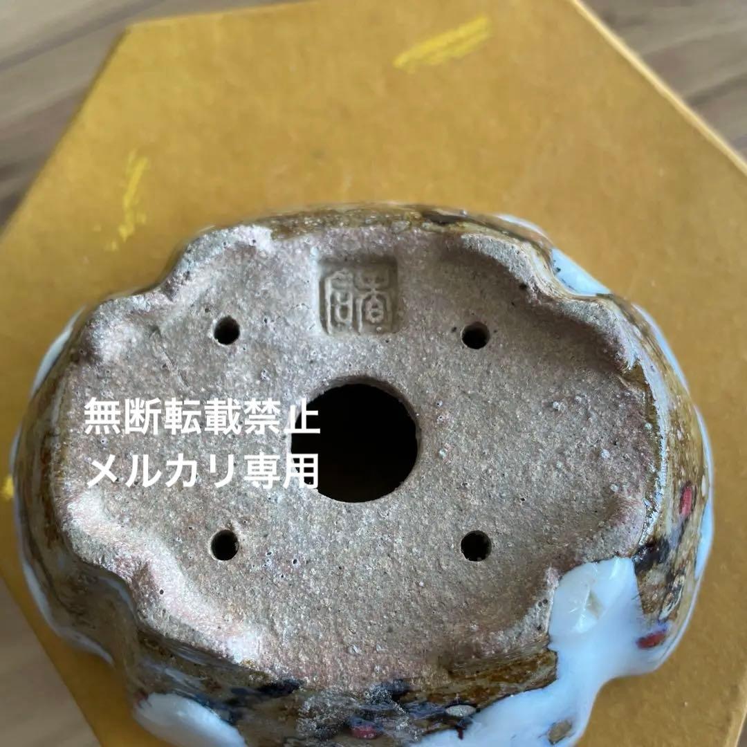ミニ盆栽鉢　桑津香石　絵鉢　梅　鳥　雪　小品盆栽