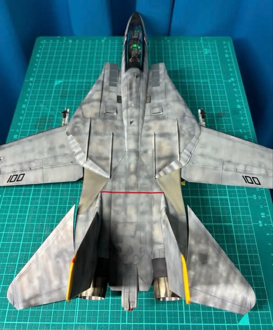戦闘機　プラモデル　完成品　タミヤ　1/48　グラマン　F-14Dトムキャット