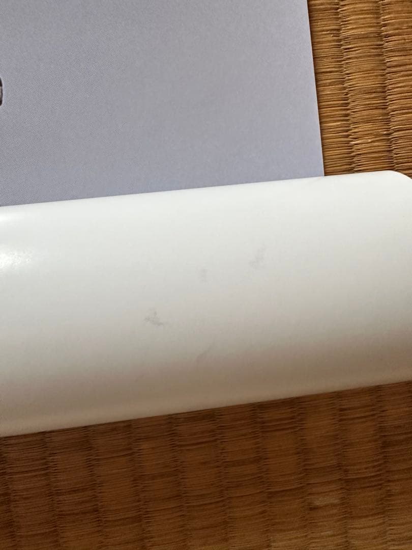 山本梓 等身大ポスター ヤングサンデー応募者全員サービス 黄色水着で挑発