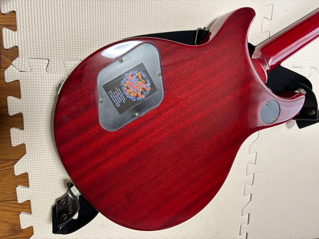 ギター Epiphone Tak Matsumoto Double Cuttaway