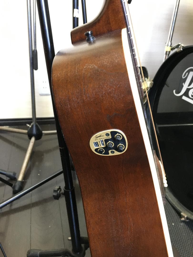 ギター Art & Lutherie Americana Bourbon Burs