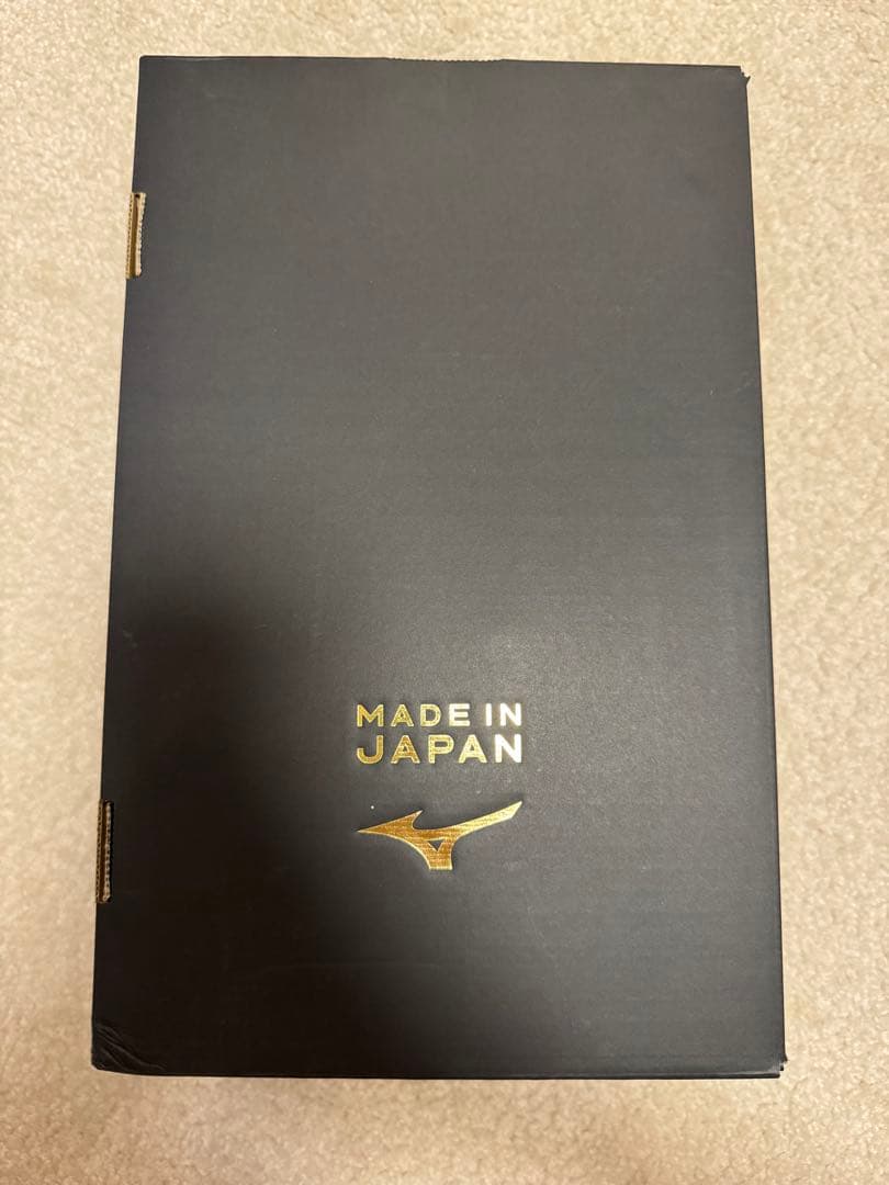 【美品】Mizuno ボクシングシューズ フィニッシャー 箱付き 27cm