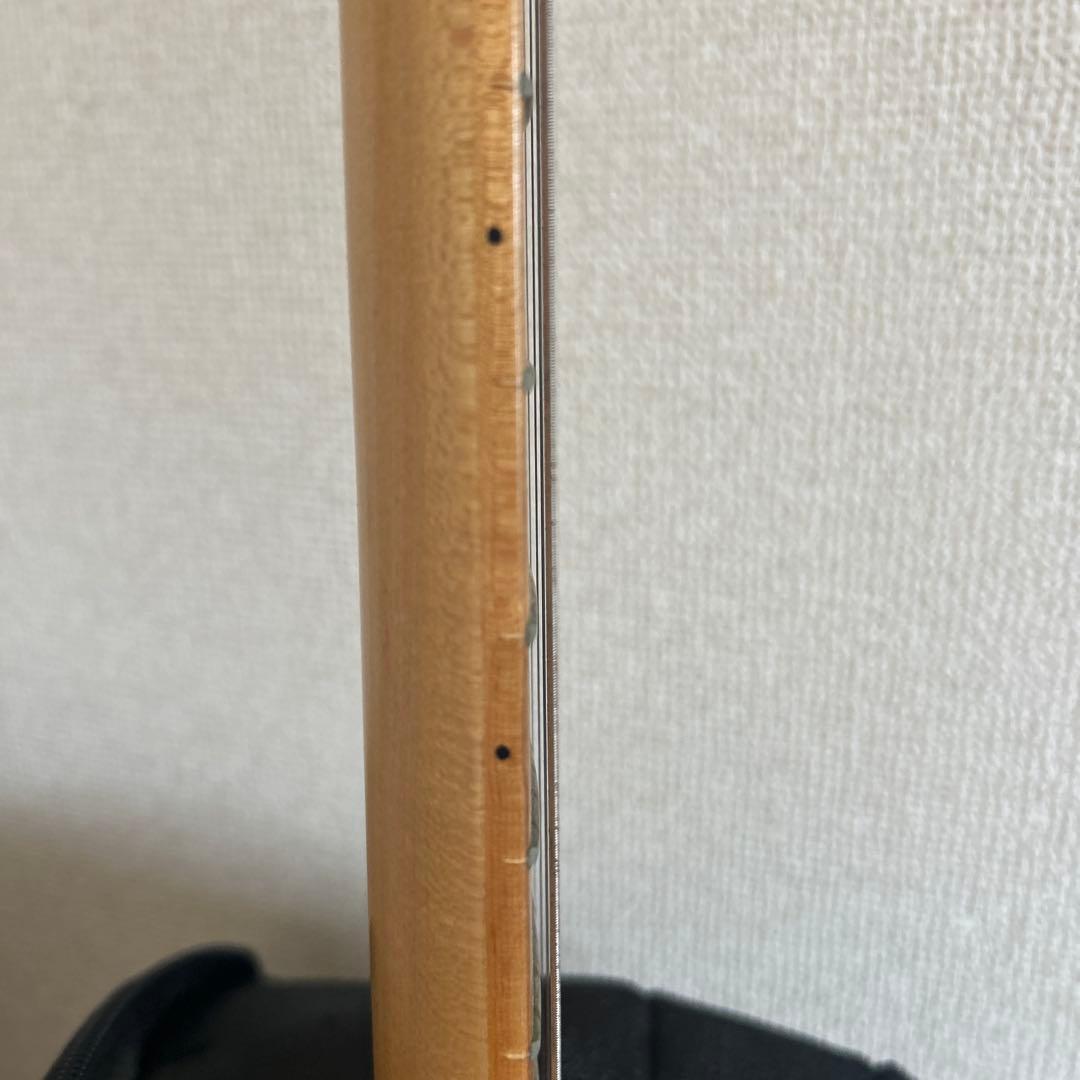 テレキャスタータイプ エレキギター ナチュラルウッド