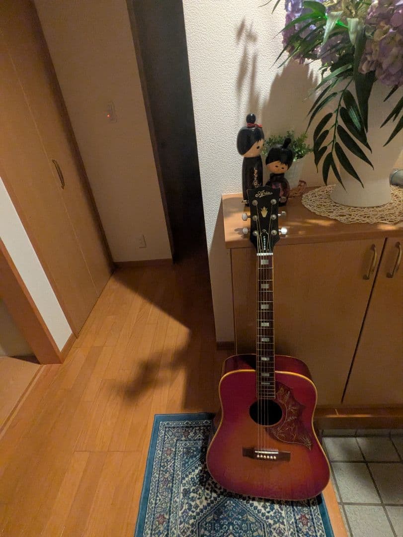 Aria WH30 アコースティックギター