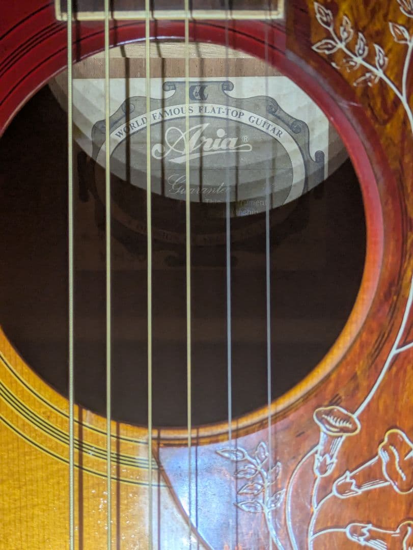 Aria WH30 アコースティックギター
