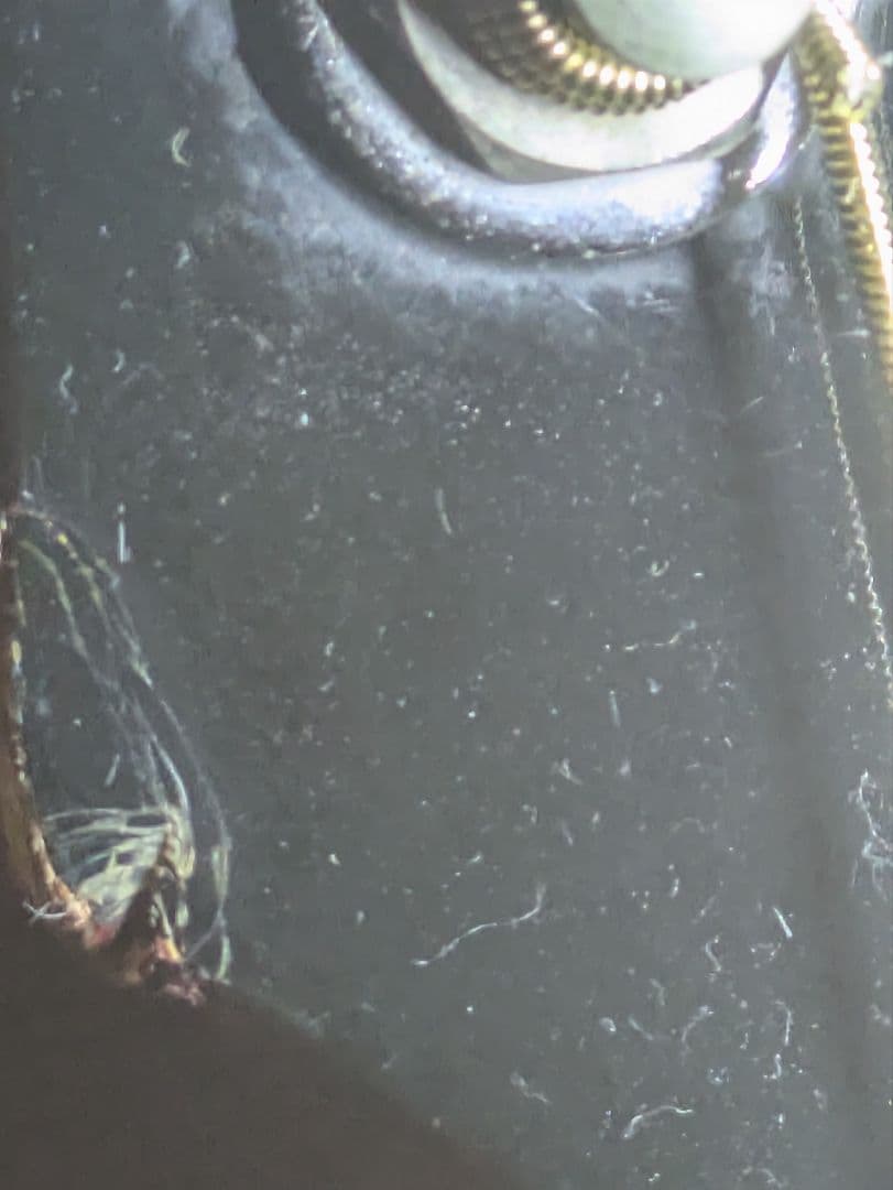 Aria WH30 アコースティックギター